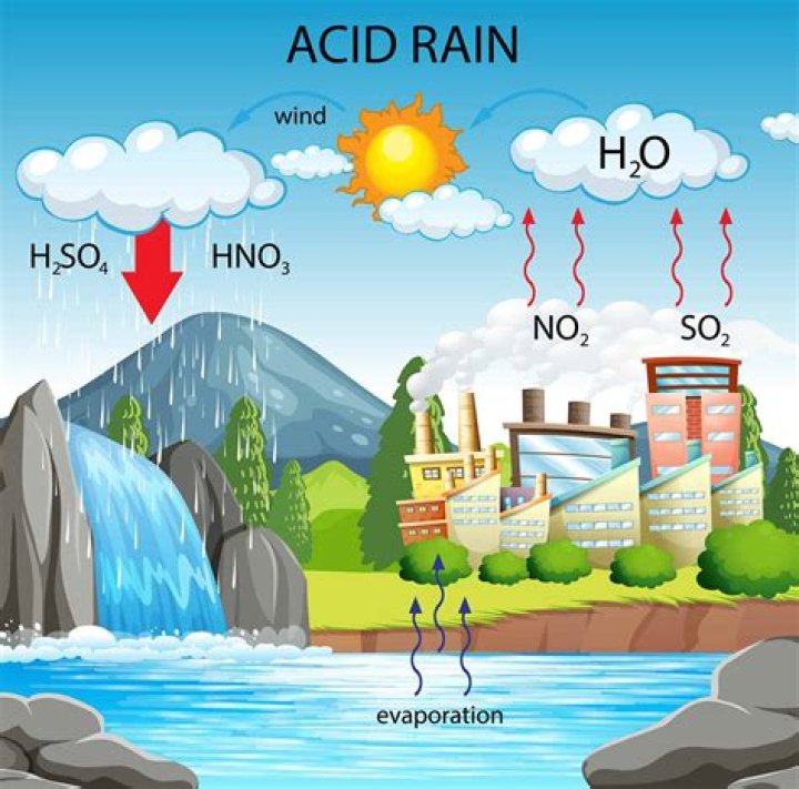 Can acid rain be reversed?