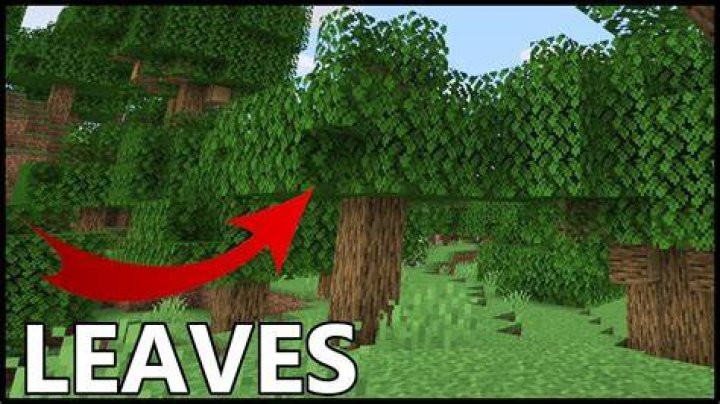 Can you get leaves in survival Minecraft?