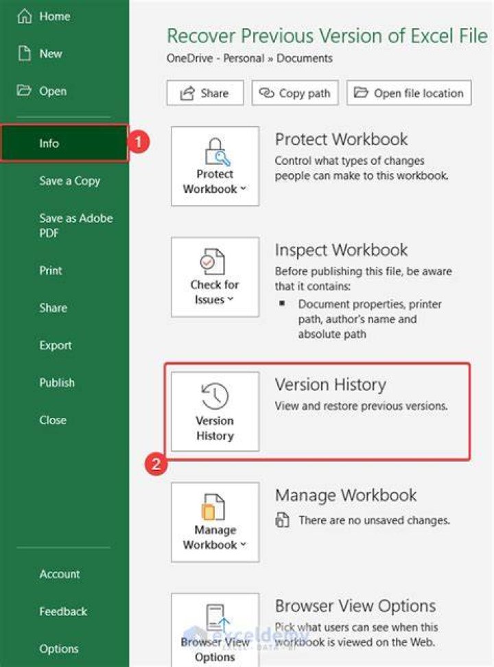 How do I delete previous versions of Excel?