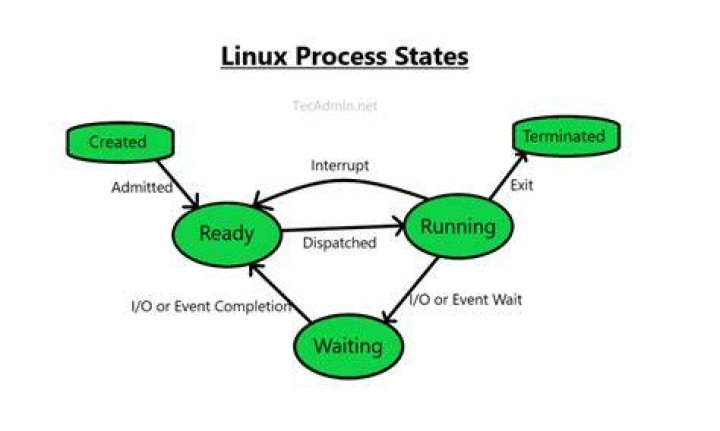 How do I view a specific process in Linux?