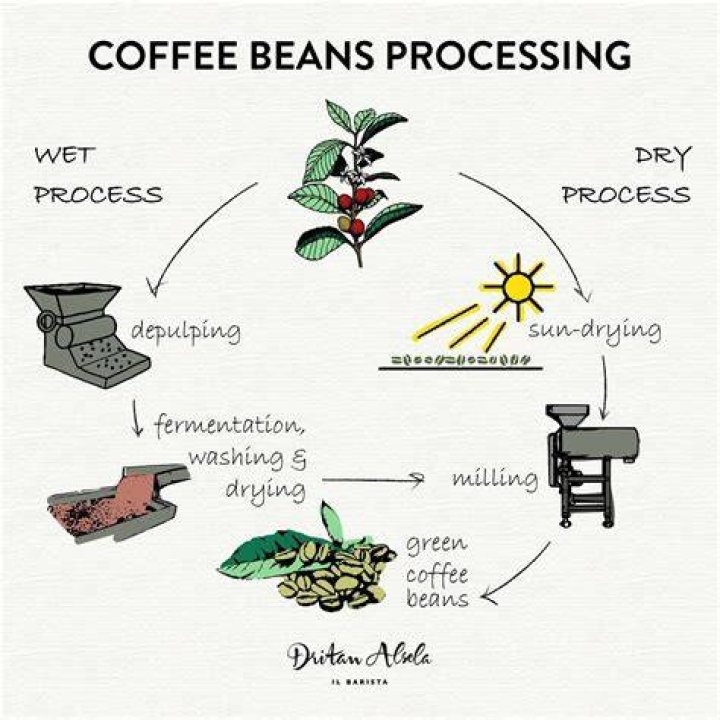How do they process coffee?