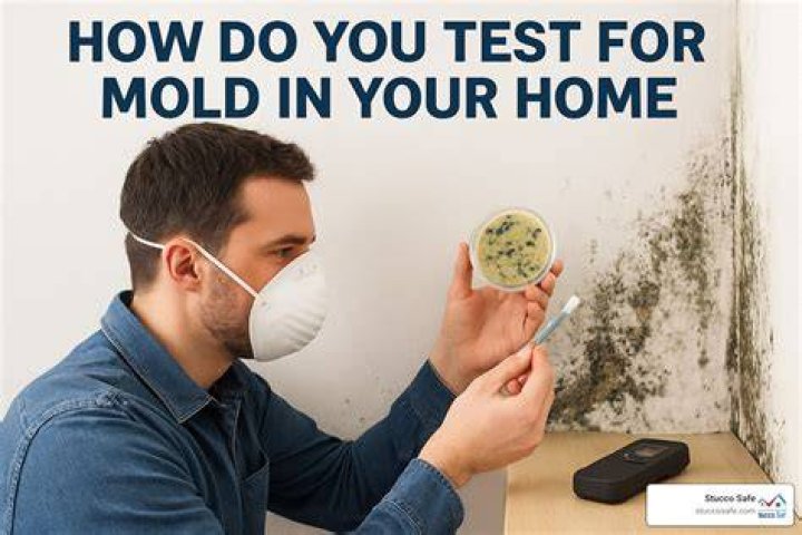How do you test the pollution level in your home?