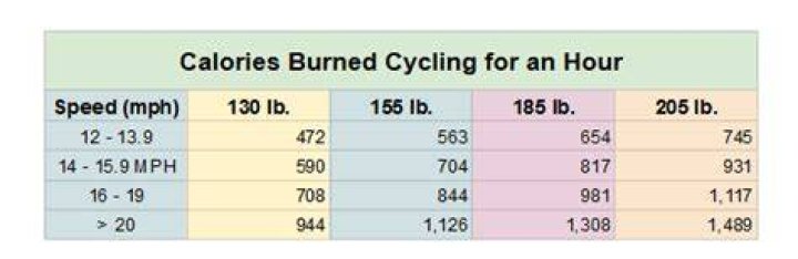 How many calories do you burn in 2 hours of cycling?