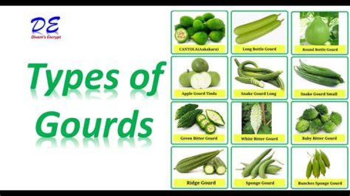 How many gourds are there?
