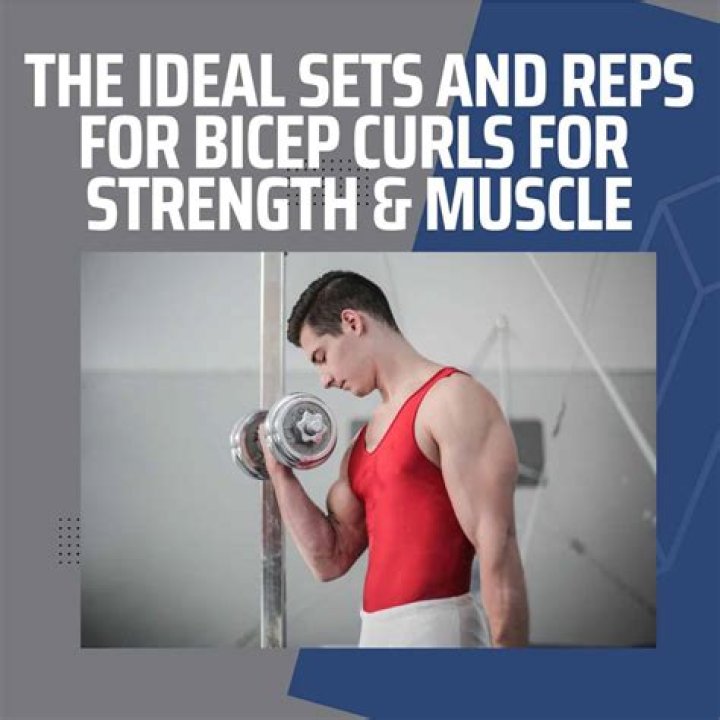 How many sets and reps of bicep curls should I do?