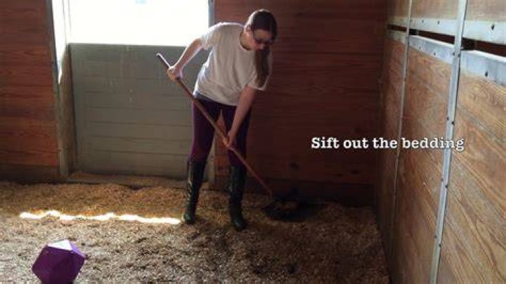 How often should you muck out a stall?