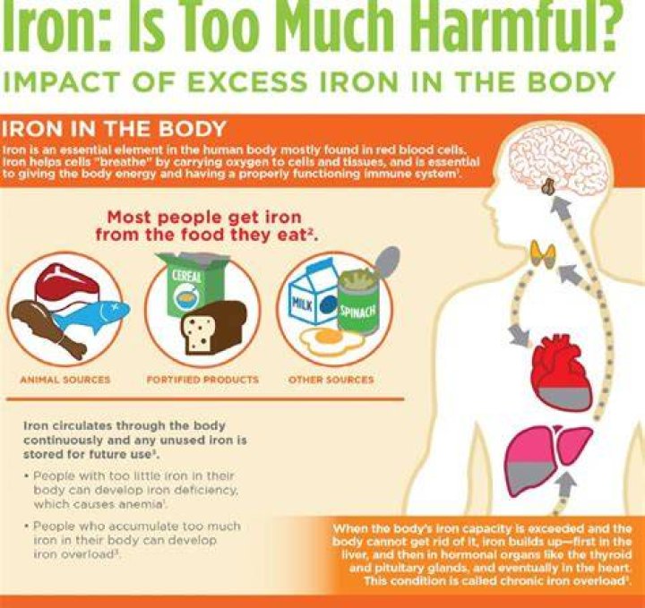 Is too much iron in blood bad for you?