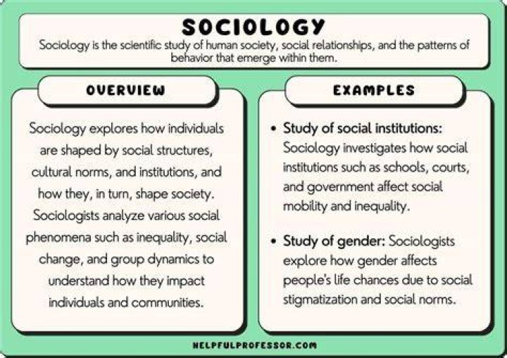 What do you expect from a sociology class?
