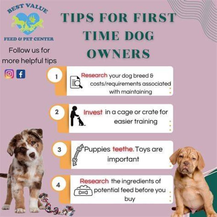 What do you think are the most important responsibilities in owning a dog?
