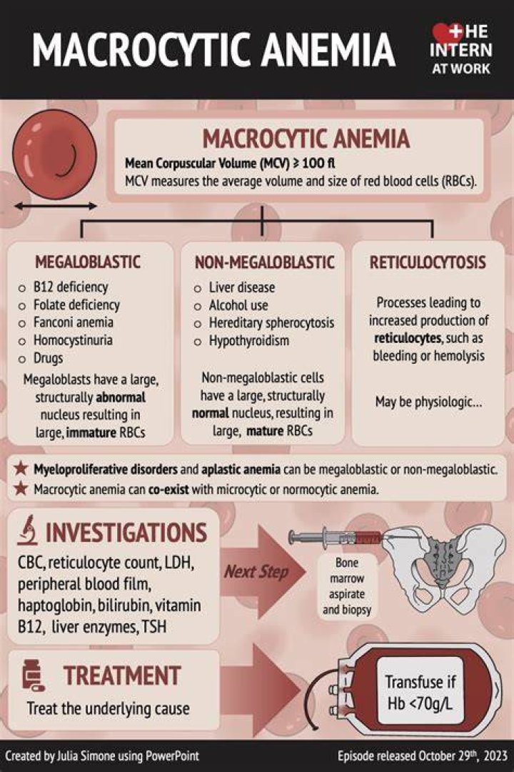 What is Macrocytic Normochromic anemia?