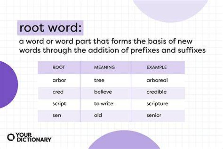What is the root word for irrelevant?