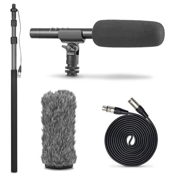 What type of microphone is a shotgun mic?